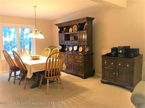 3942 White Pine Dr, Dewitt, MI 48820 photo 18