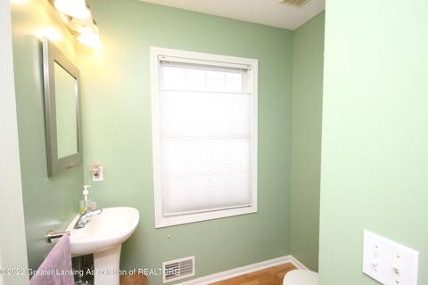 1141 Lacosta Dr, Dewitt, MI 48820 photo 15