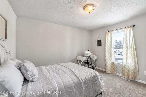 201 Ayla Dr, Dewitt, MI 48820 photo 20