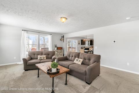 201 Ayla Dr, Dewitt, MI 48820 photo 9