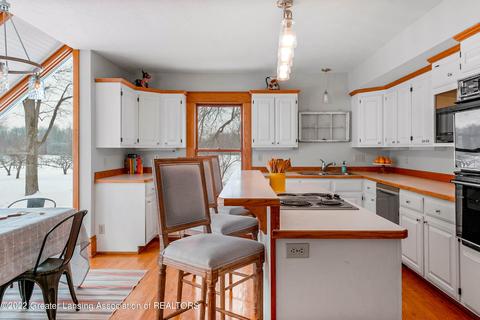 294 Germany Rd, Williamston, MI 48895 photo 12