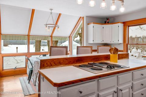 294 Germany Rd, Williamston, MI 48895 photo 13