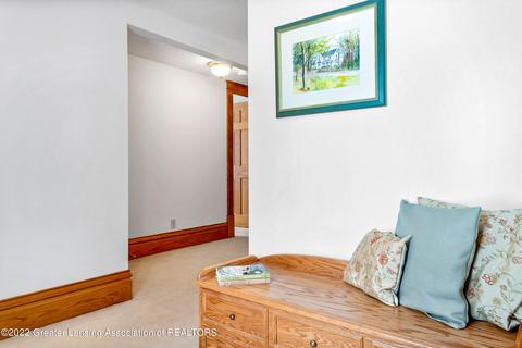 294 Germany Rd, Williamston, MI 48895 photo 21