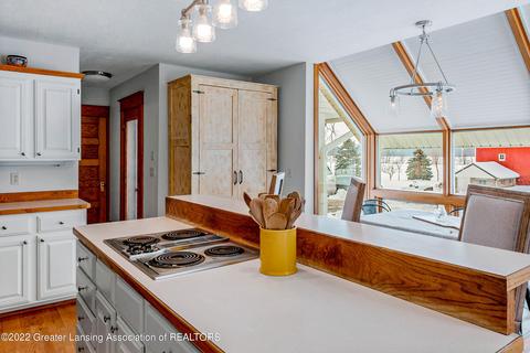 294 Germany Rd, Williamston, MI 48895 photo 16