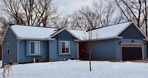 2727 Pine Tree Rd, Holt, MI 48842 photo 1