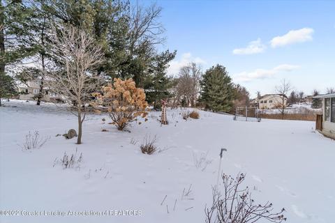 11842 Sara Ann Dr, Dewitt, MI 48820 photo 40