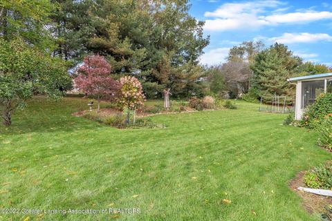 11842 Sara Ann Dr, Dewitt, MI 48820 photo 46