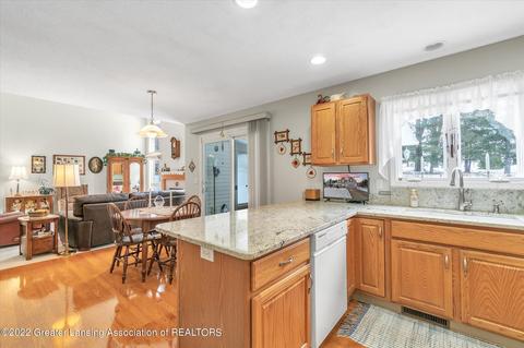 11842 Sara Ann Dr, Dewitt, MI 48820 photo 19