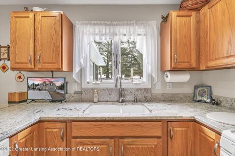 11842 Sara Ann Dr, Dewitt, MI 48820 photo 18