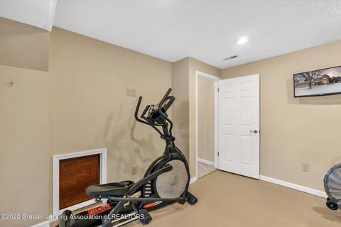 305 Windyrush Ln, Dewitt, MI 48820 photo 36