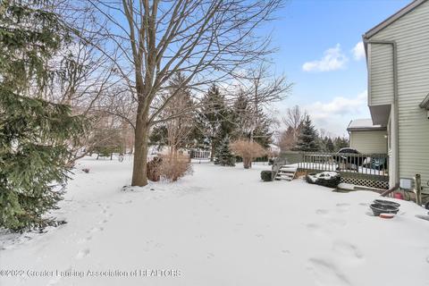 305 Windyrush Ln, Dewitt, MI 48820 photo 49