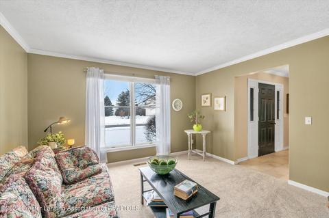 305 Windyrush Ln, Dewitt, MI 48820 photo 7