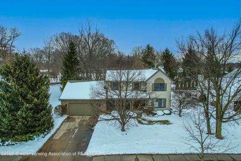 305 Windyrush Ln, Dewitt, MI 48820 photo 59