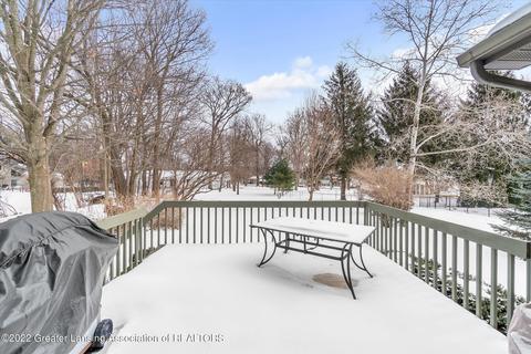 305 Windyrush Ln, Dewitt, MI 48820 photo 45