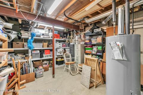 305 Windyrush Ln, Dewitt, MI 48820 photo 43