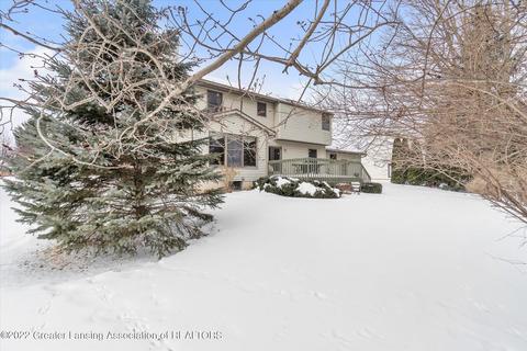 305 Windyrush Ln, Dewitt, MI 48820 photo 46