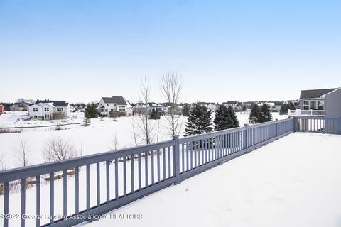12685 Warm Creek Dr, Dewitt, MI 48820 photo 4