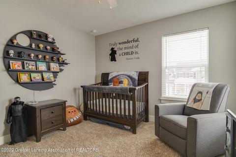 3085 Moccasin Dr, Dewitt, MI 48820 photo 44