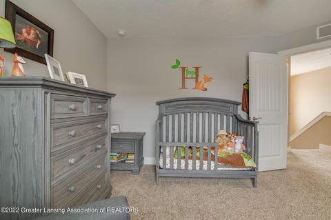 3085 Moccasin Dr, Dewitt, MI 48820 photo 42