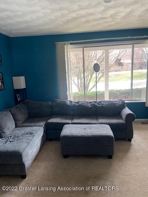 12882 Rambler Rd, Dewitt, MI 48820 photo 5