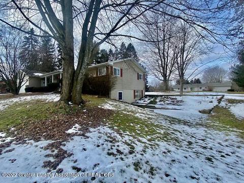 12882 Rambler Rd, Dewitt, MI 48820 photo 36