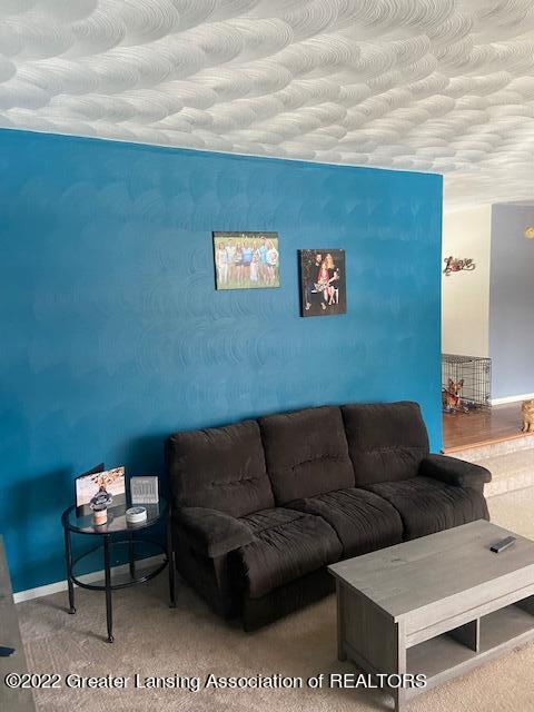 12882 Rambler Rd, Dewitt, MI 48820 photo 6
