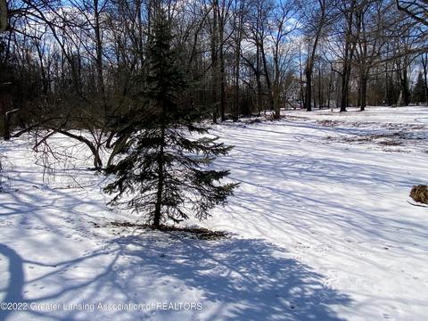 402 E Adelaide St, Maple Rapids, MI 48853 photo 6