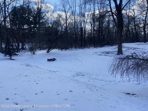 402 E Adelaide St, Maple Rapids, MI 48853 photo 5