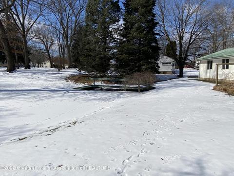 402 E Adelaide St, Maple Rapids, MI 48853 photo 8