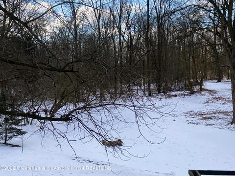 402 E Adelaide St, Maple Rapids, MI 48853 photo 4