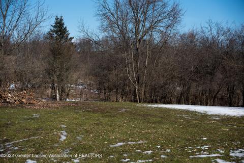 8634 Clinton Rd, Jackson, MI 49201 photo 14