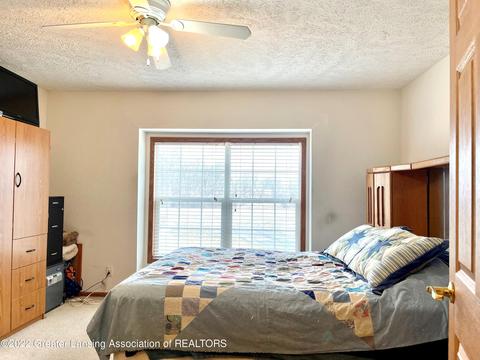 9890 S Us 27, Dewitt, MI 48820 photo 26
