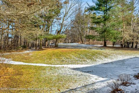 1203 Barry Rd, Haslett, MI 48840 photo 97