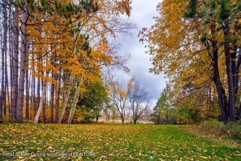 1203 Barry Rd, Haslett, MI 48840 photo 96