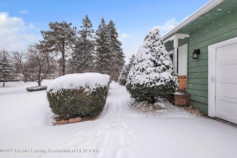 6740 Lansdown Dr, Dimondale, MI 48821 photo 39