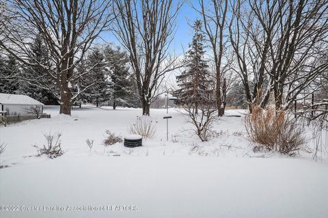 6740 Lansdown Dr, Dimondale, MI 48821 photo 37