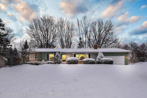 6740 Lansdown Dr, Dimondale, MI 48821 photo 1