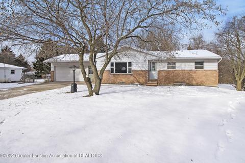 13858 Ducharme Dr, Dewitt, MI 48820 photo 1