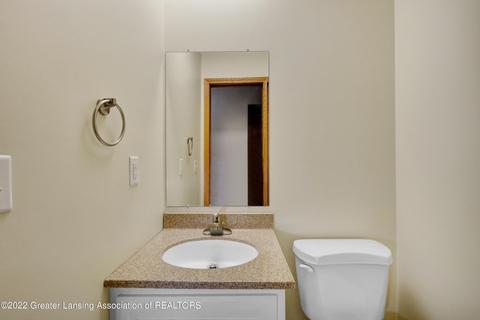 6795 Lansdown Dr, Dimondale, MI 48821 photo 13