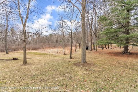 9735 Deer Trl, Haslett, MI 48840 photo 43