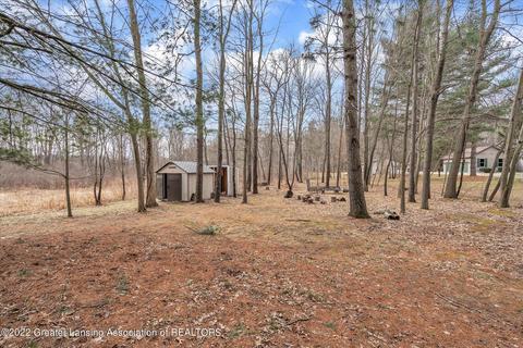 9735 Deer Trl, Haslett, MI 48840 photo 42