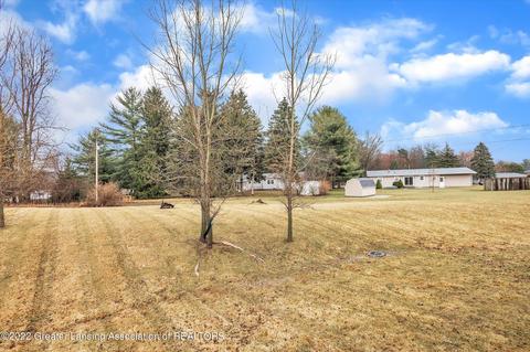 12715 Ospreys Way, Dewitt, MI 48820 photo 50