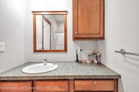 12715 Ospreys Way, Dewitt, MI 48820 photo 33