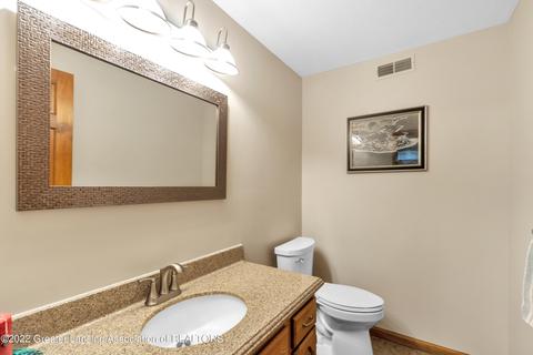 3621 Beech Tree Ln, Okemos, MI 48864 photo 40