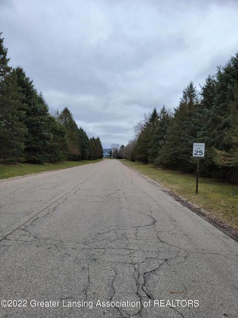 2371 Hiddenview Ln, Williamston, MI 48895 photo 3