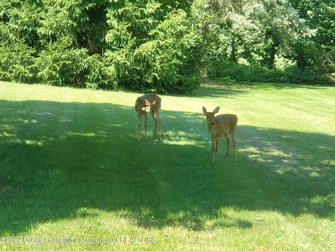 13444 Turner Rd, Dewitt, MI 48820 photo 45