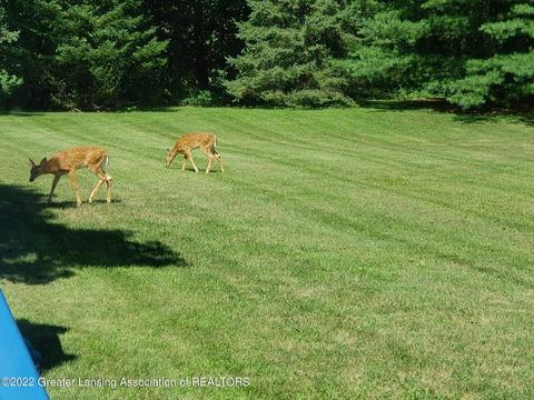 13444 Turner Rd, Dewitt, MI 48820 photo 44