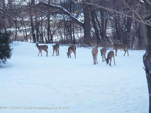 13444 Turner Rd, Dewitt, MI 48820 photo 47