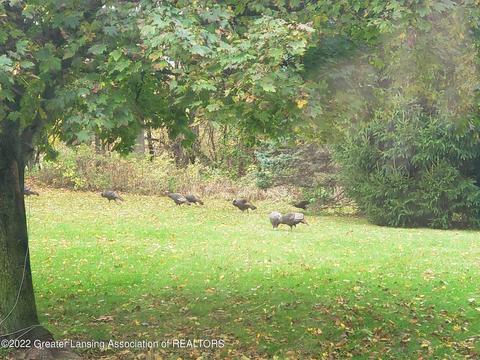 13444 Turner Rd, Dewitt, MI 48820 photo 46
