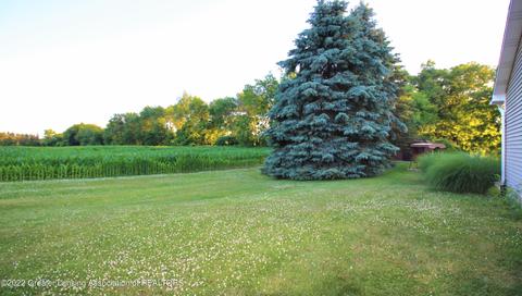 13444 Turner Rd, Dewitt, MI 48820 photo 10